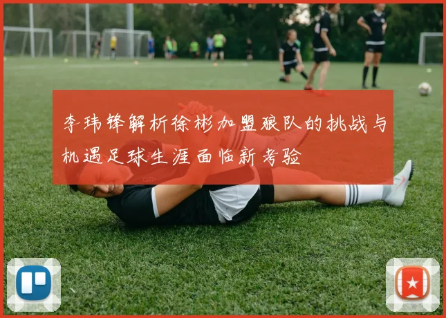 李玮锋解析徐彬加盟狼队的挑战与机遇足球生涯面临新考验