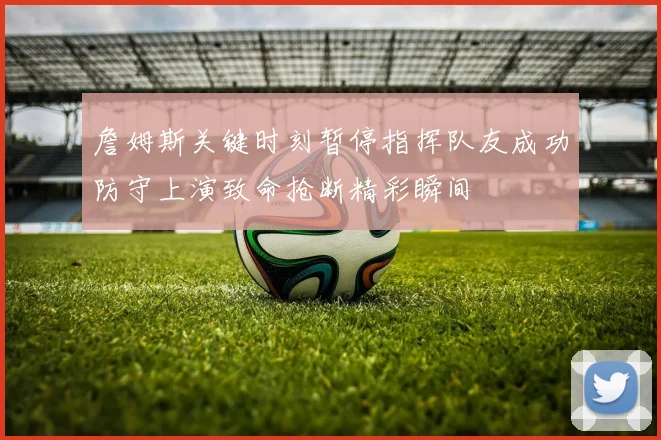 詹姆斯关键时刻暂停指挥队友成功防守上演致命抢断精彩瞬间